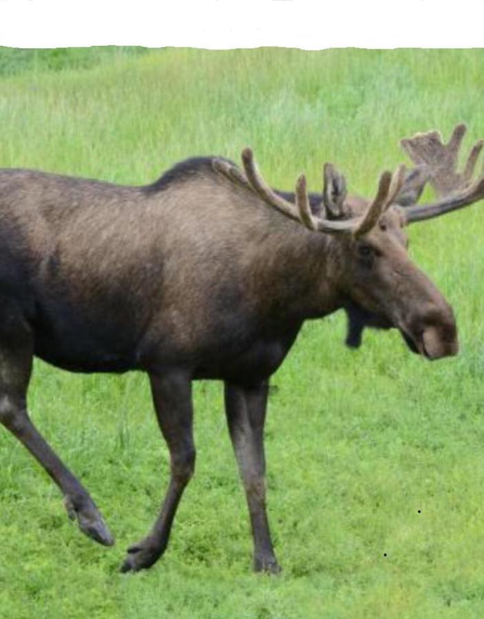 Stuga Utanfoer Fjaellbacka Экстерьер фото